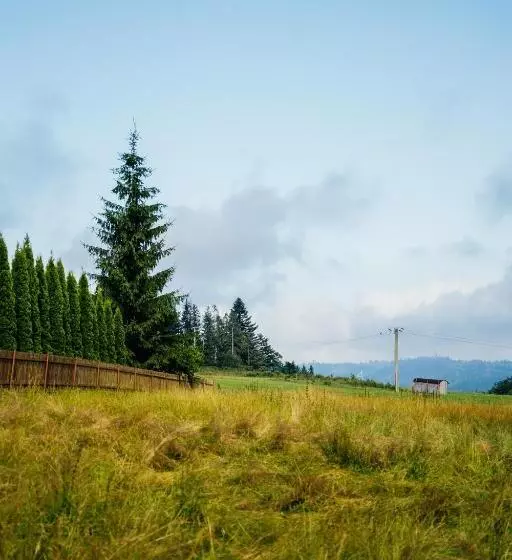 호텔 Willa Marta M Sauna Jacuzzi