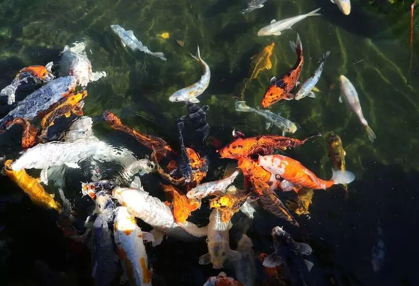 پانسیون Ocean View House