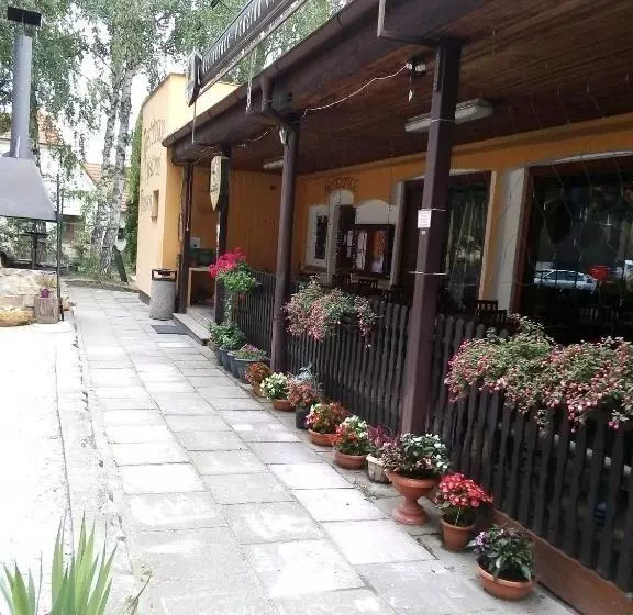 ペンション Penzion Vysehrad Nonstop