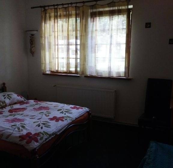 펜션 Penzion Vysehrad Nonstop