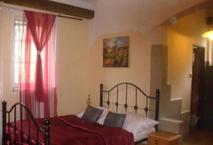 펜션 Penzion Vysehrad Nonstop