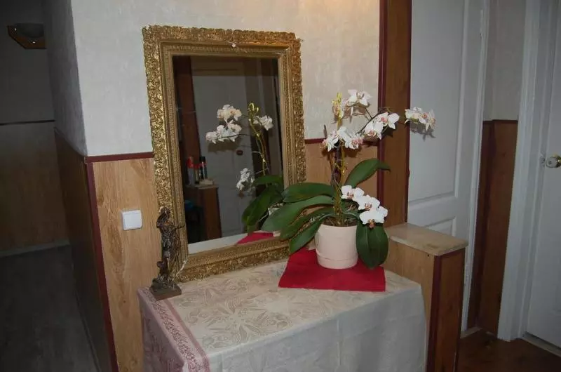 Vanilla Bed And Breakfast