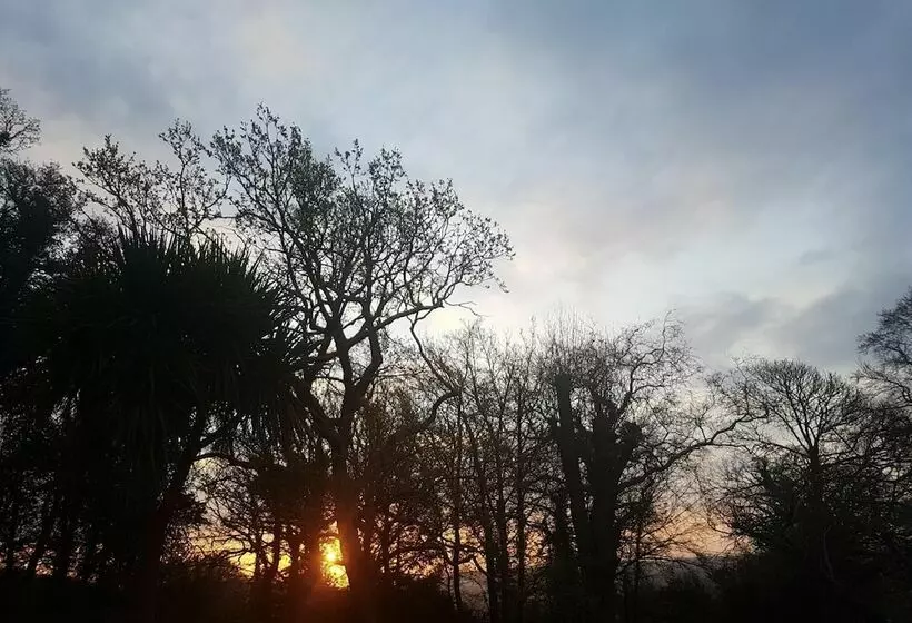 Cosy 2 Bed Property In Ashburton, Dartmoor