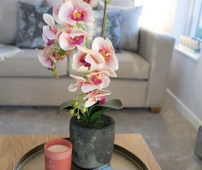 Отель Hollicarrs Bluebell Lodge