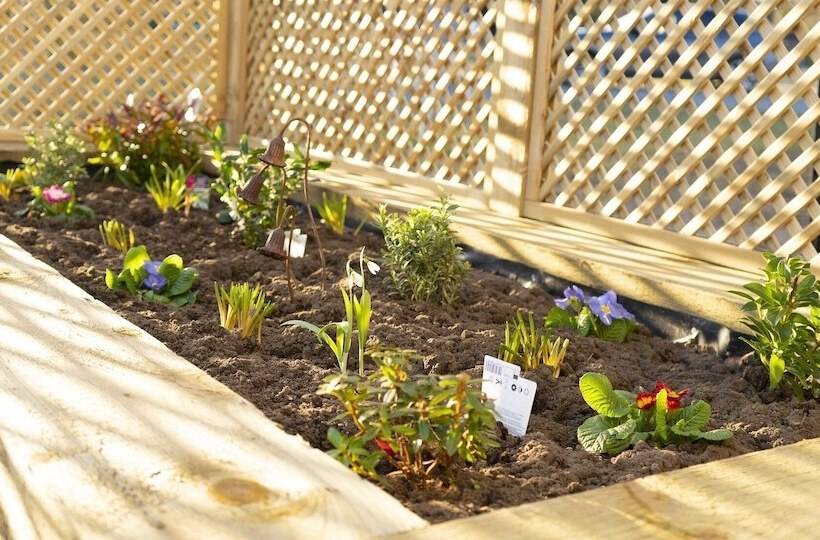 Отель Hollicarrs Bluebell Lodge