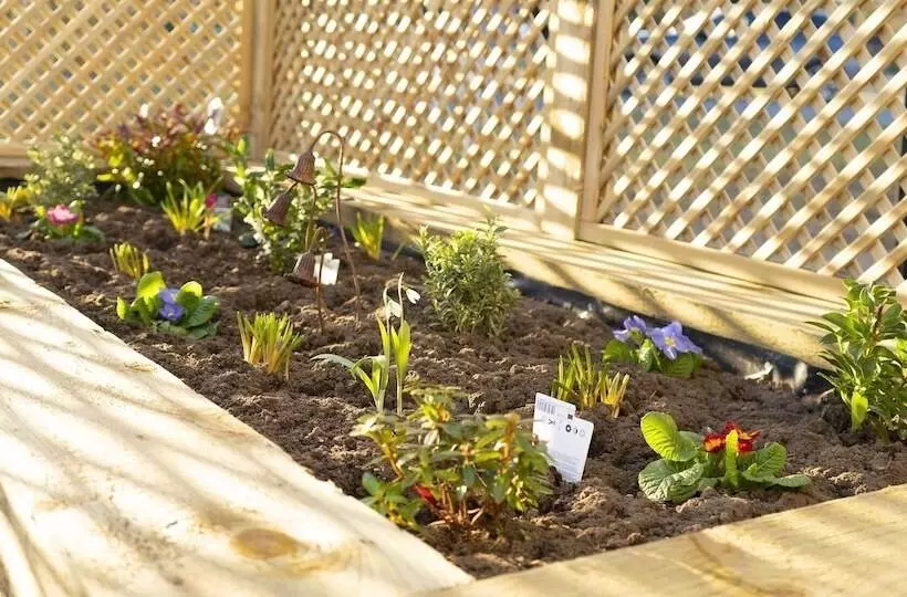 Hotelli Hollicarrs  Bluebell Lodge