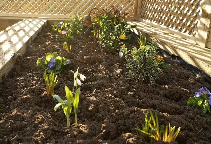 Hotelli Hollicarrs  Bluebell Lodge