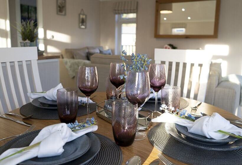 酒店 Hollicarrs Bluebell Lodge