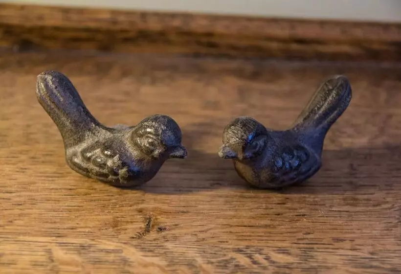 ペンション Aux Oiseaux De Provence
