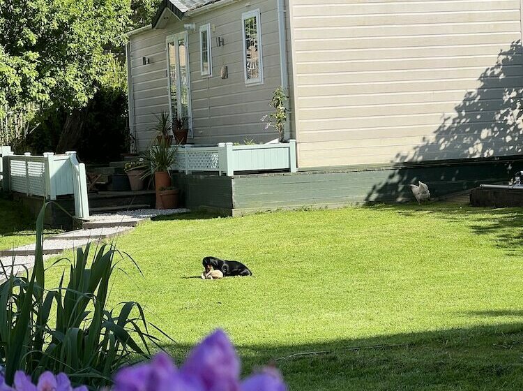 The Cabin At Glan Aber