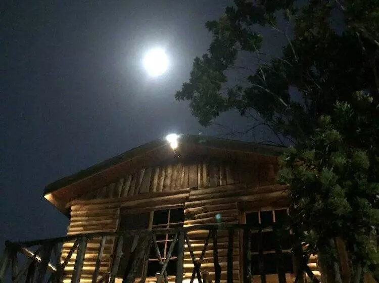 هتل The Blue Mahoe Treehouse