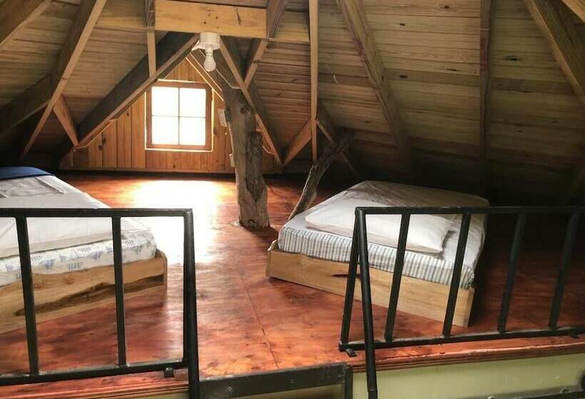 هتل The Blue Mahoe Treehouse