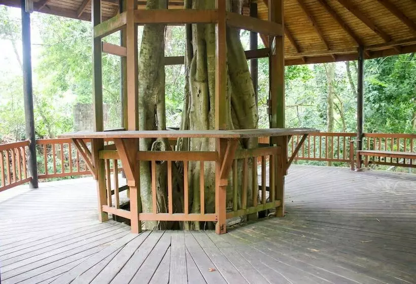 هتل The Blue Mahoe Treehouse