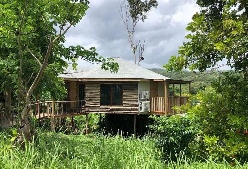 هتل The Blue Mahoe Treehouse