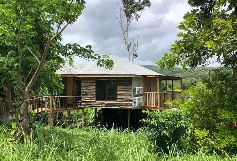 هتل The Blue Mahoe Treehouse