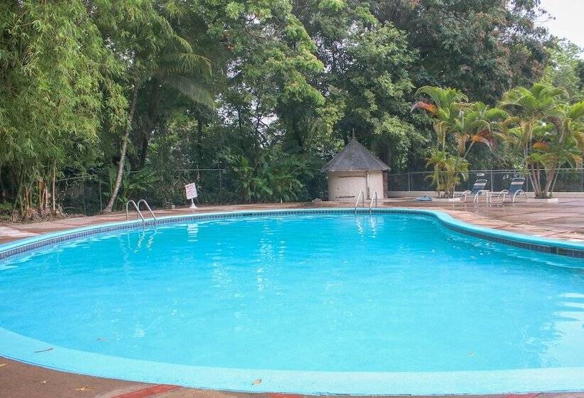 هتل The Blue Mahoe Treehouse