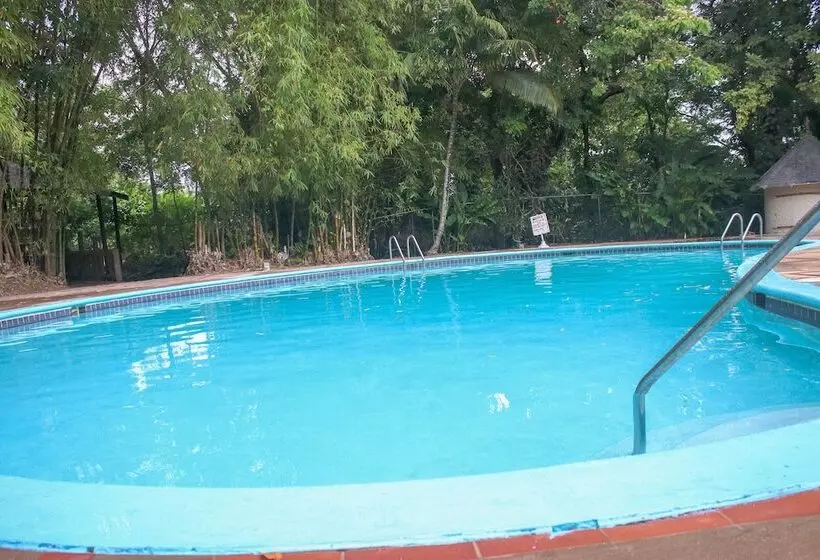 هتل The Blue Mahoe Treehouse