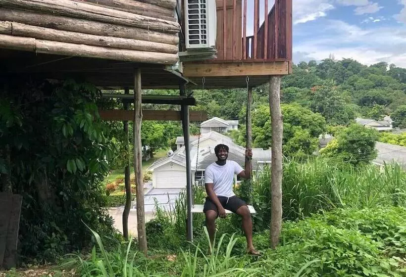 هتل The Blue Mahoe Treehouse