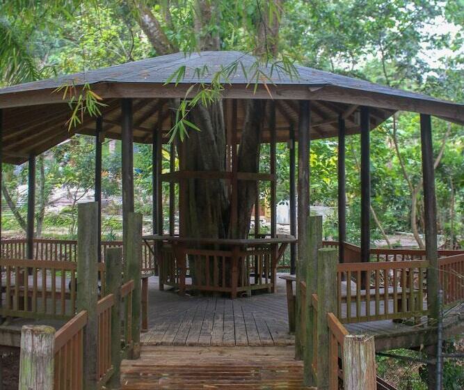 هتل The Blue Mahoe Treehouse