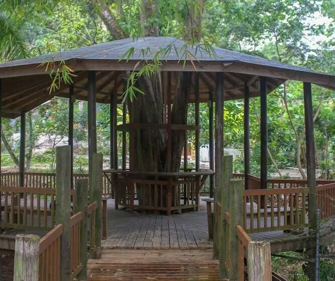 هتل The Blue Mahoe Treehouse