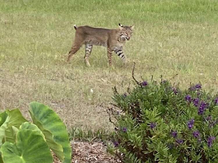 مبيت وإفطار Suite Dreams Guesthouse Aka Care Takeover Home