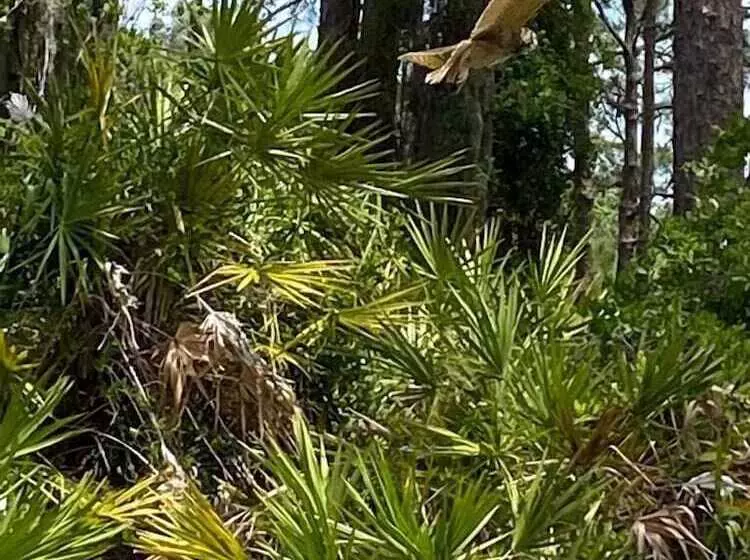 Aamiaismajoitus (B&B) Suite Dreams Guesthouse Aka Care Takeover Home