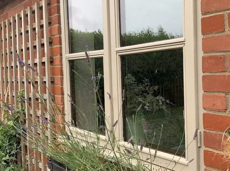 Come & Stay On A Real Norfolk Vineyard