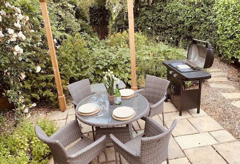 Come & Stay On A Real Norfolk Vineyard