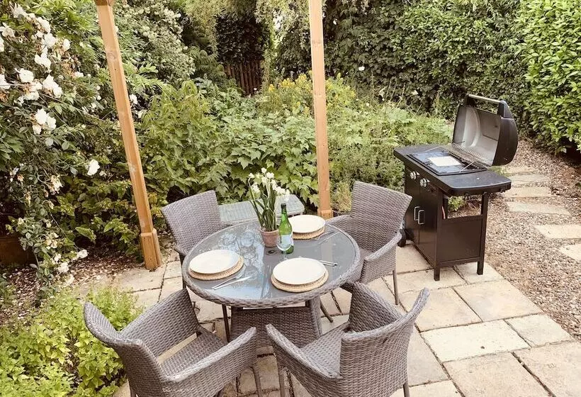 Come & Stay On A Real Norfolk Vineyard