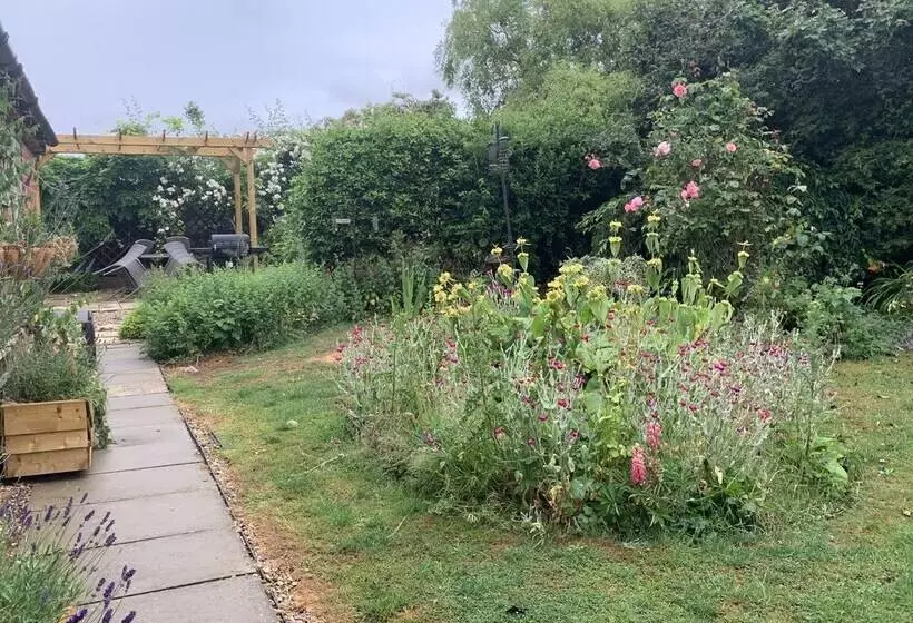 Come & Stay On A Real Norfolk Vineyard