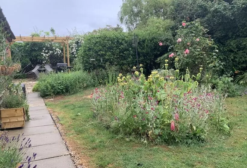 Come & Stay On A Real Norfolk Vineyard