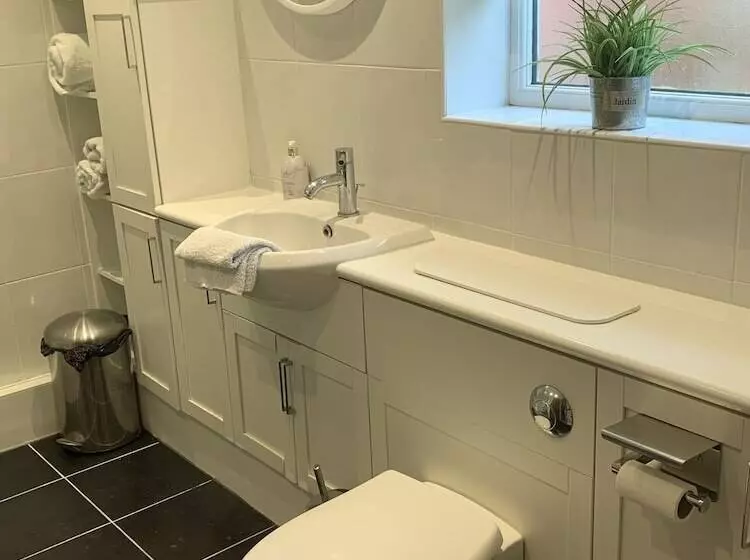 Come & Stay On A Real Norfolk Vineyard