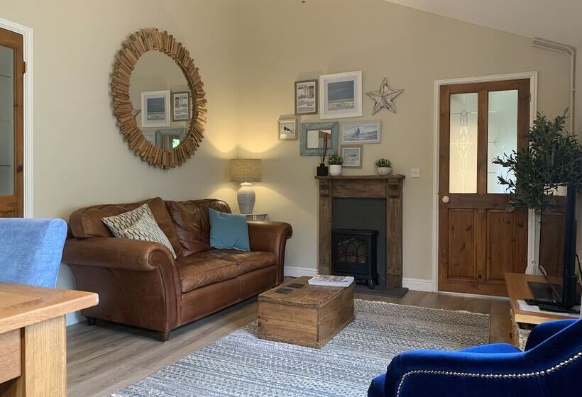 Come & Stay On A Real Norfolk Vineyard