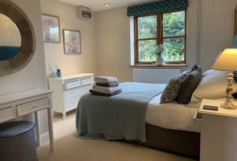 Come & Stay On A Real Norfolk Vineyard