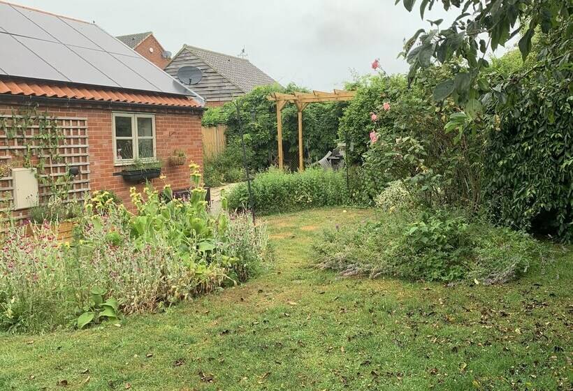 Come & Stay On A Real Norfolk Vineyard