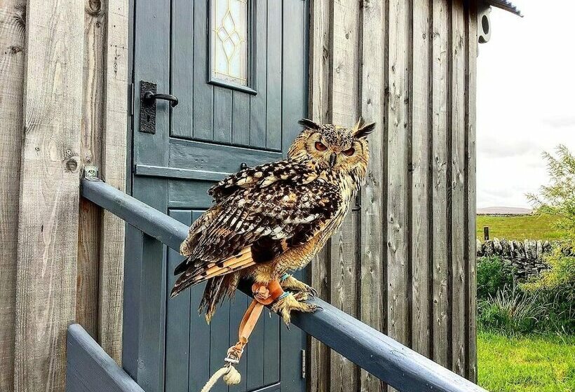Bespoke Hand Built Shepherds Hut In Dunbeath