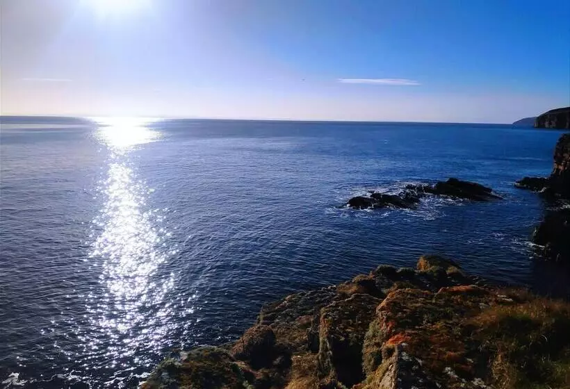 Bespoke Hand Built Shepherds Hut In Dunbeath