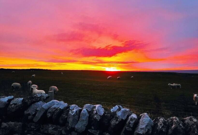 Bespoke Hand Built Shepherds Hut In Dunbeath