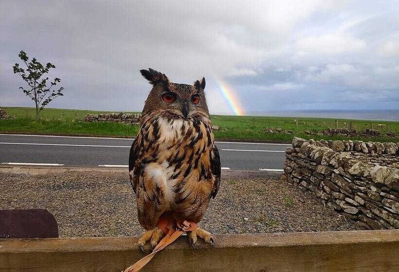 Bespoke Hand Built Shepherds Hut In Dunbeath