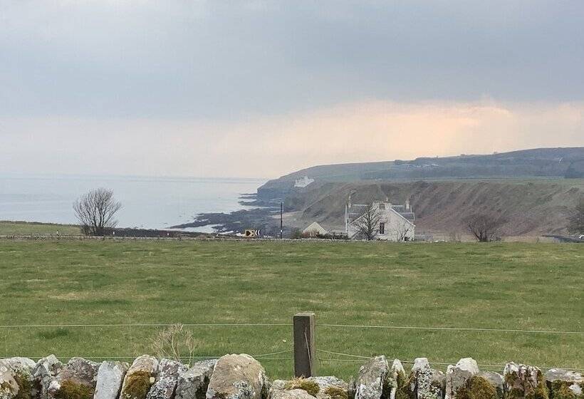 Bespoke Hand Built Shepherds Hut In Dunbeath