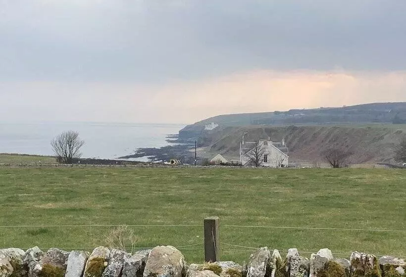 Bespoke Hand Built Shepherds Hut In Dunbeath