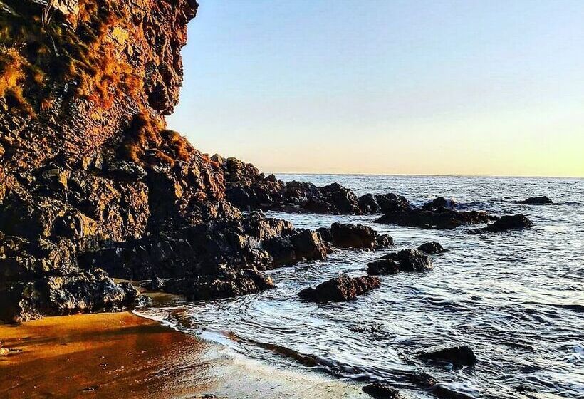 Bespoke Hand Built Shepherds Hut In Dunbeath