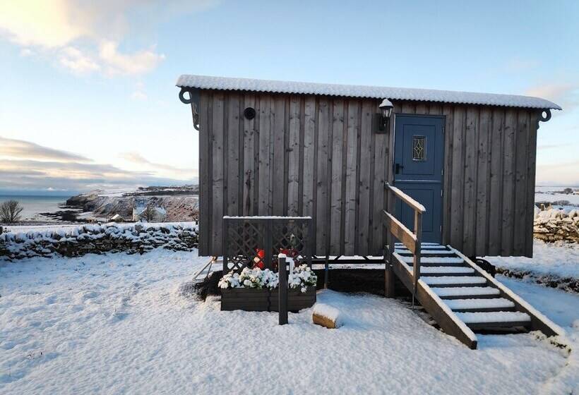 Bespoke Hand Built Shepherds Hut In Dunbeath