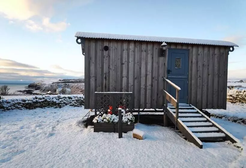 Bespoke Hand Built Shepherds Hut In Dunbeath