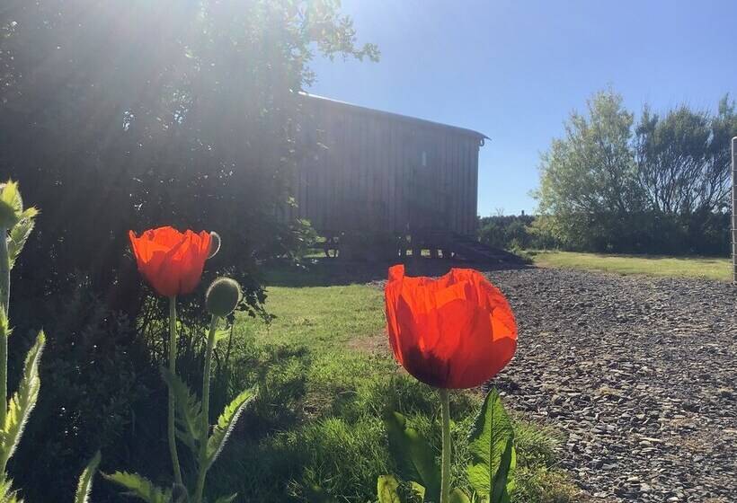 Bespoke Hand Built Shepherds Hut In Dunbeath