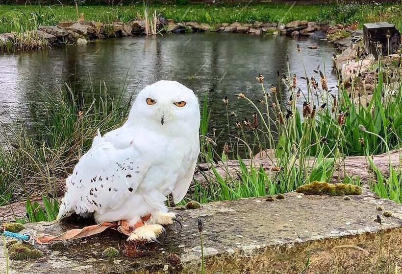 Bespoke Hand Built Shepherds Hut In Dunbeath