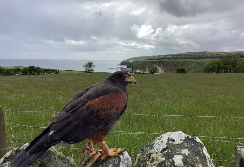 Bespoke Hand Built Shepherds Hut In Dunbeath