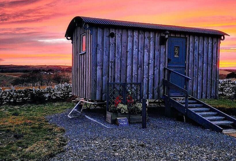 Bespoke Hand Built Shepherds Hut In Dunbeath