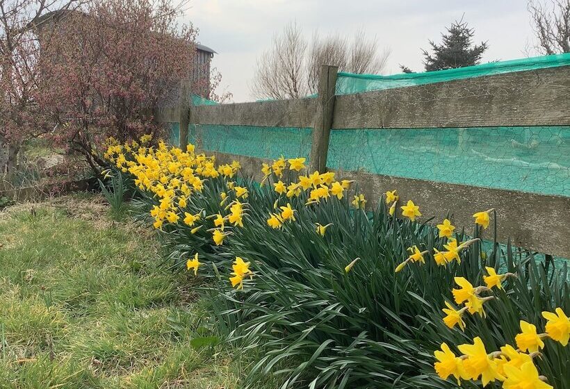 Bespoke Hand Built Shepherds Hut In Dunbeath