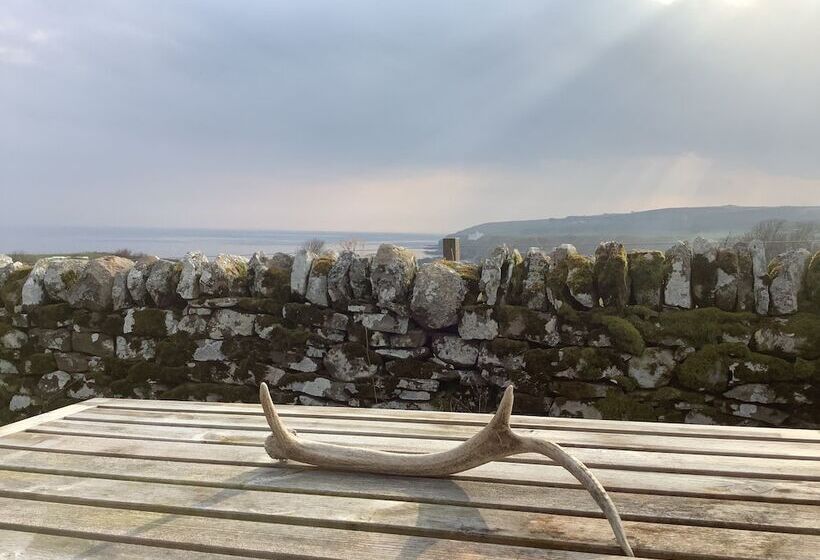 Bespoke Hand Built Shepherds Hut In Dunbeath